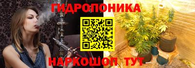 PSILOCYBIN Ярославль