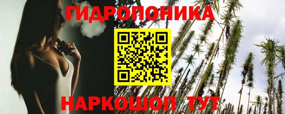 Бошки марихуана VHQ Ачинск